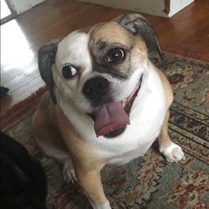 Meet your Posher, Ellie